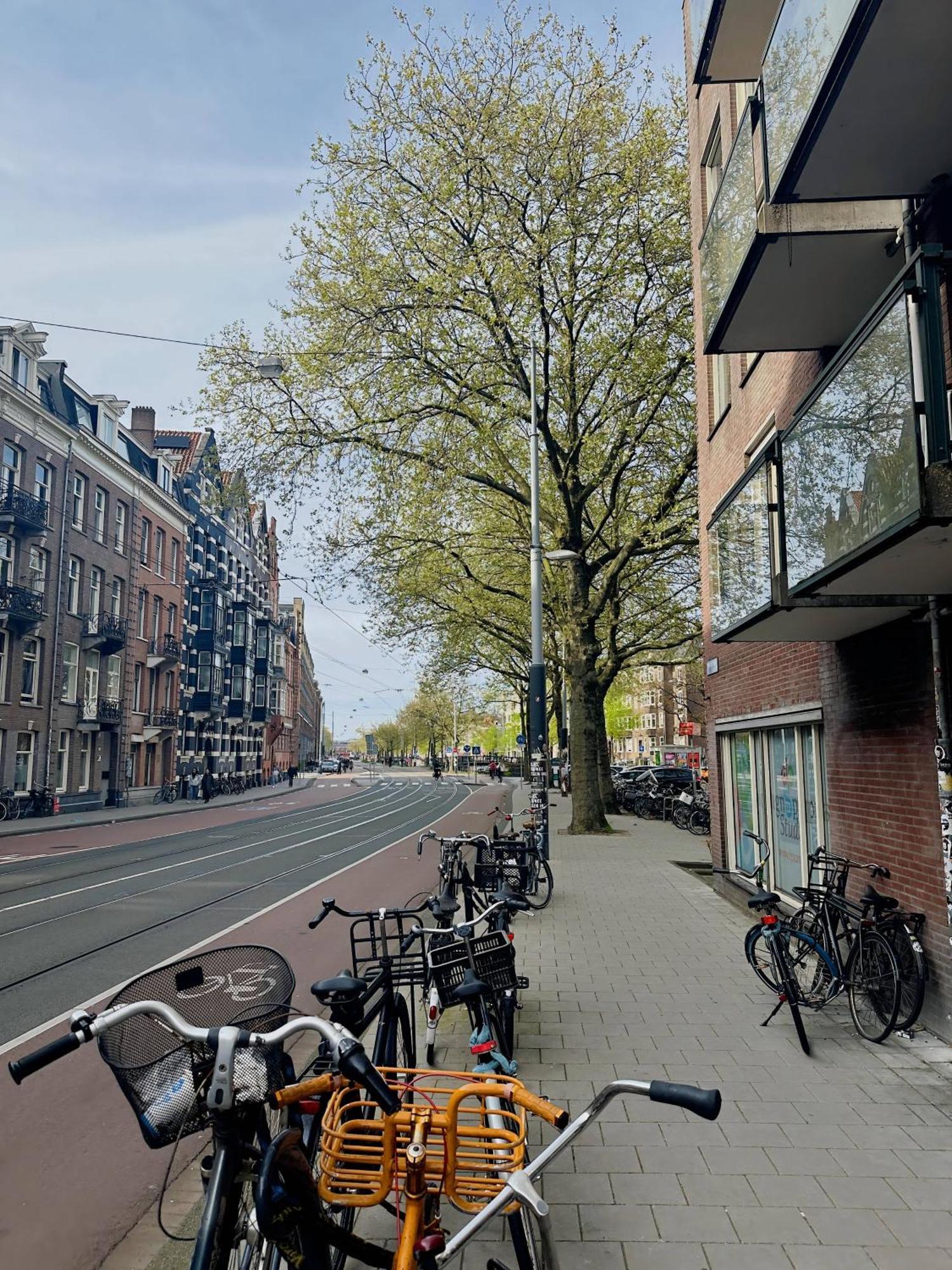 Beautiful In The Heart Of Amsterdam! Appartement *